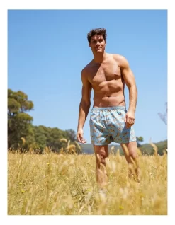 3 Pack Airedales & Scotties Cotton Boxer Short In Multi -Men Clothing Store 968895640 5 720x928